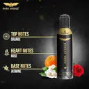 PARK AVENUE Regal Body Spray 150ml(1PCS) - For Men