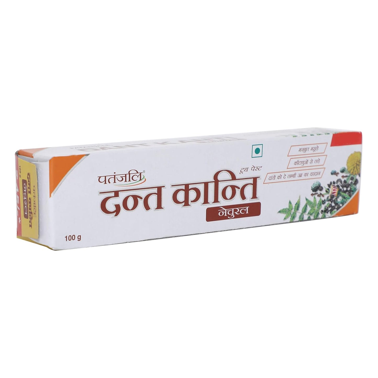 Patanjali Regular Antibacterial Toothpaste - 100G