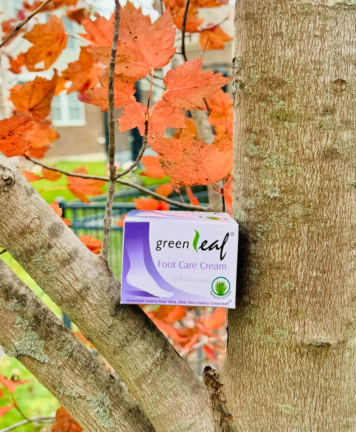 Greenleaf Foot care cream 50 g