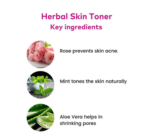 AYUR SKIN TONER 100 ML
