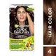 Garnier Color Naturals Shade 4 Brown