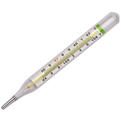 Hicks Mercury Free Eco Thermometer, 1 pc