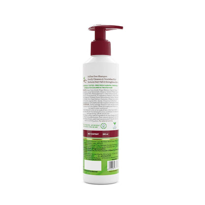 Mamaearth Onion Shampoo for Hair Growth and Hair Fall Control with Onion and Plant Keratin | Reduces Hair Fall | Strengthens & Smoothens Hair | For Men & Women | 250ml