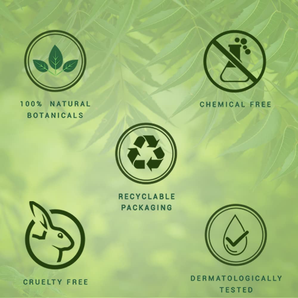 Biotique Fresh Neem Anti Dandruff Shampoo and Conditioner