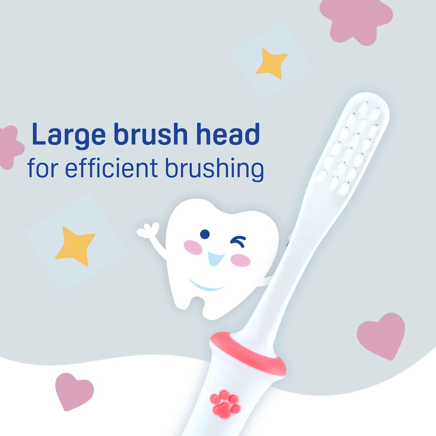 PIGEON Training Tooth Brush Lesson 4