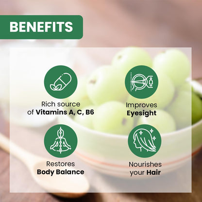Baidyanath Amla Juice - 1 Ltr, Rich in Vitamin C and Natural Immunity Booster- Helps Maintaining Healthy Hair, Weight and Digestion
