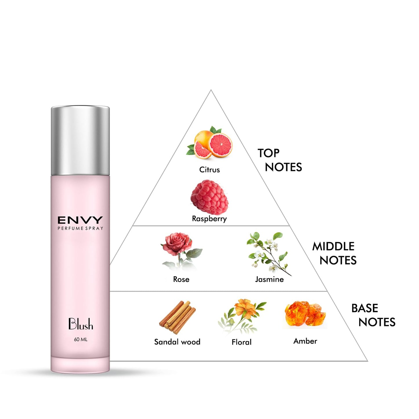 ENVY Blush Women Perfume - 60ML | Long Lasting Luxury Perfume for Women | Mild and Attractive Fragrance