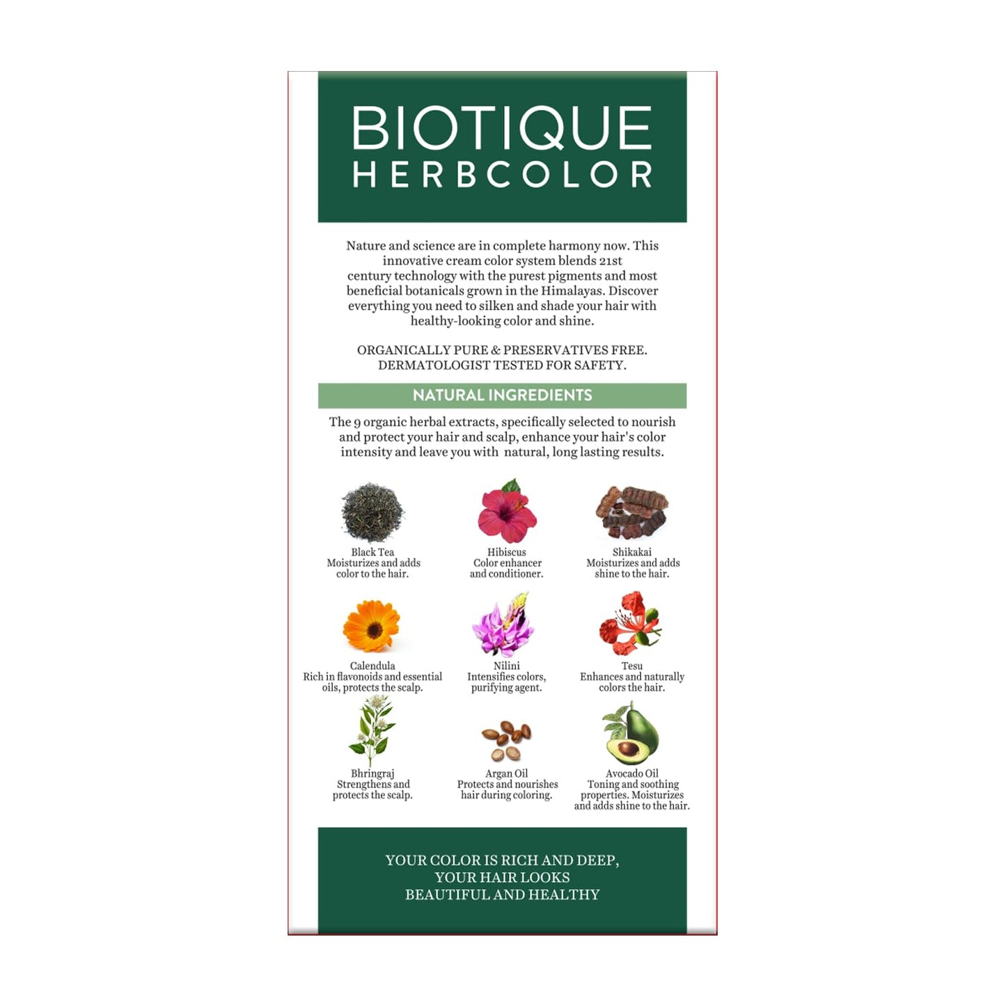 Biotique Herbcolor Conditioning Hair Colour l Ammonia Free Hair Color  Natural Black 1N