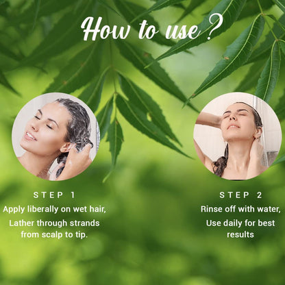 Biotique Fresh Neem Anti Dandruff Shampoo and Conditioner