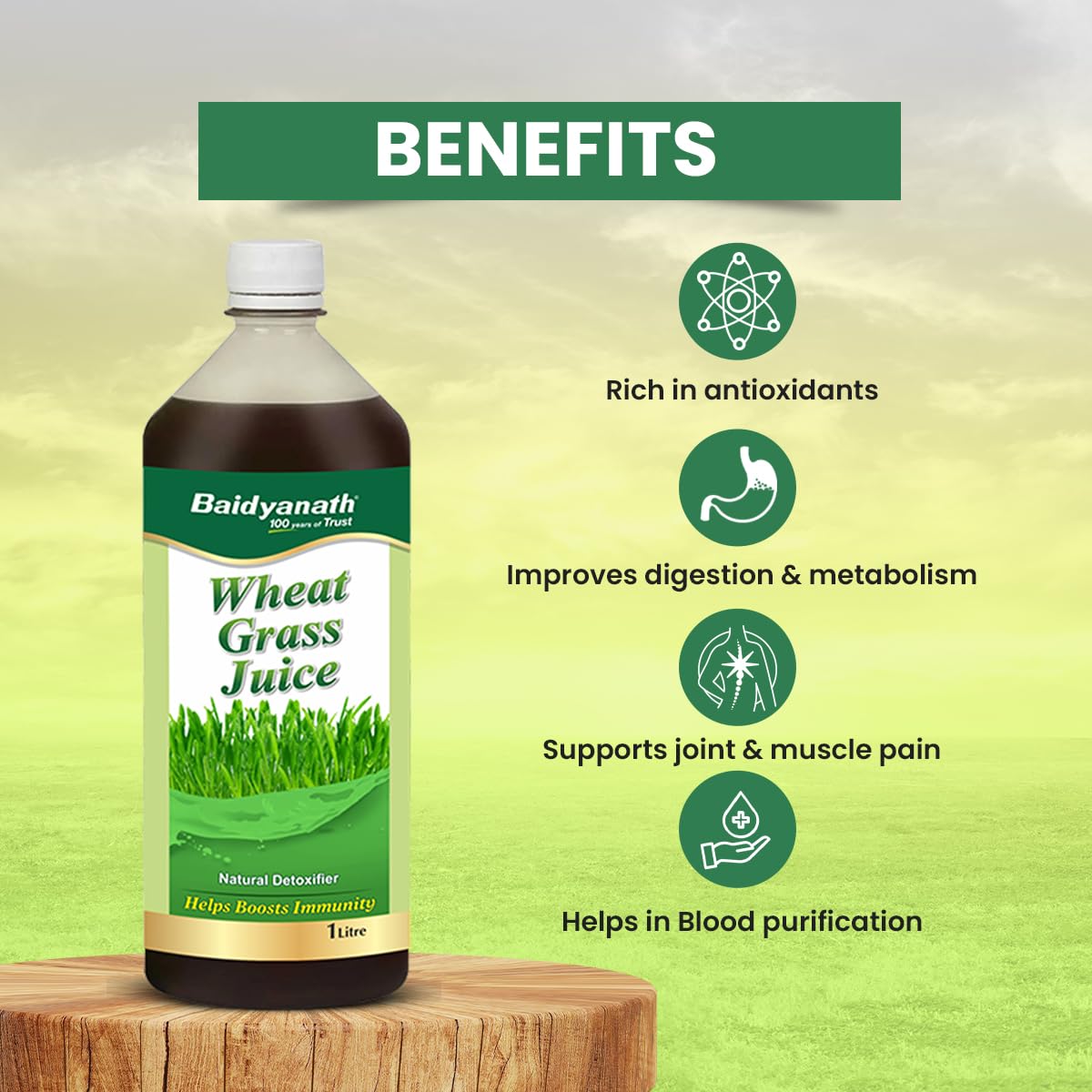 Baidyanath Ayurved Pure Wheatgrass Juice