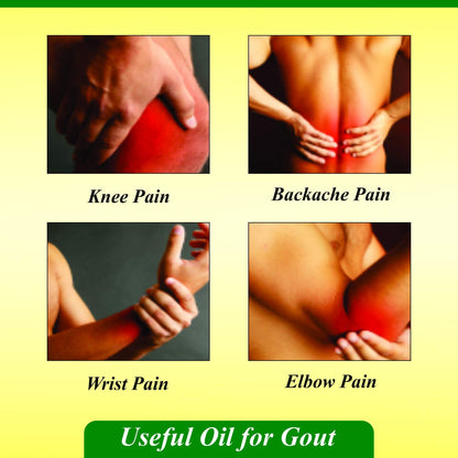 Baidyanath Mahanarayan Taila, Joint Pain Relief Oil, Natural,