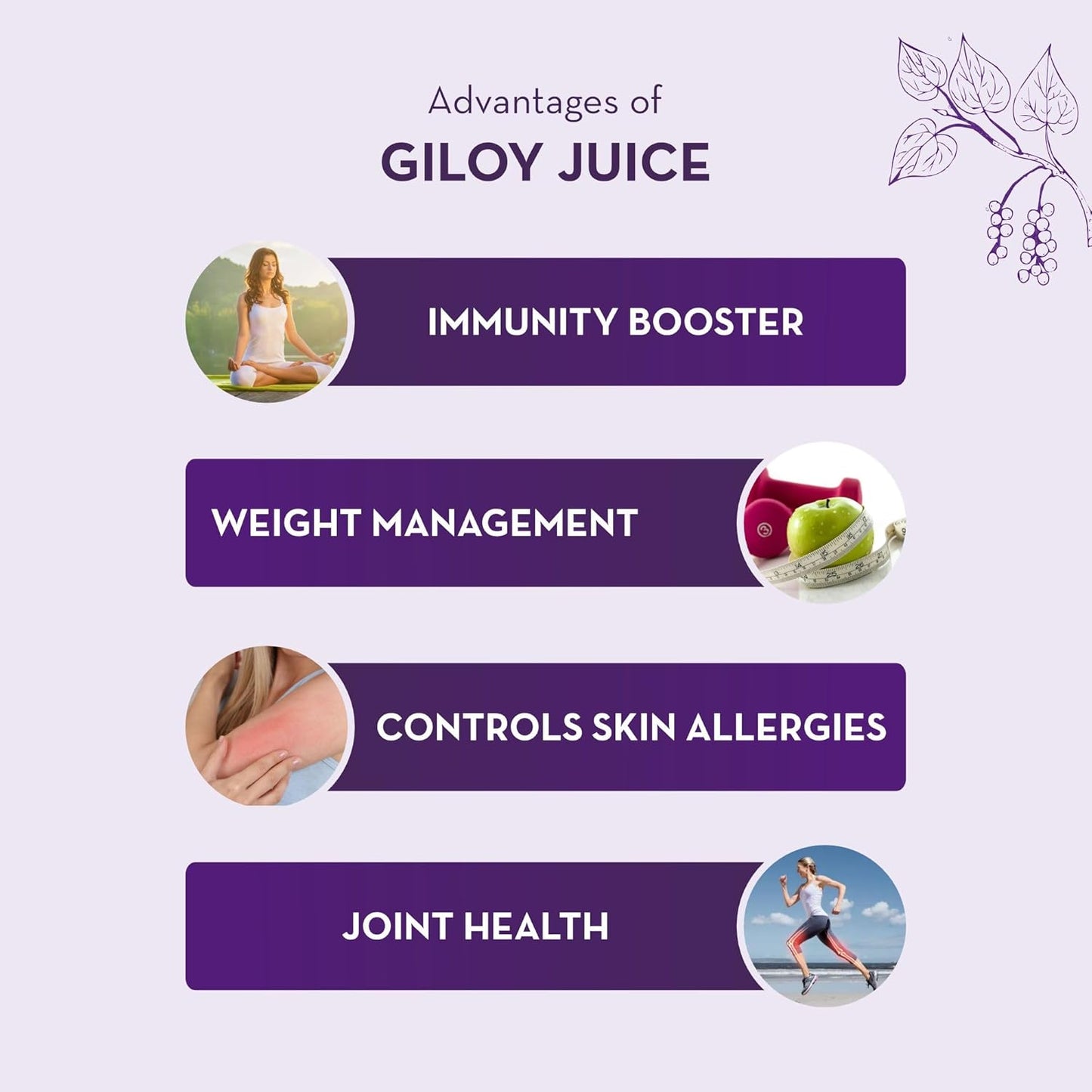 Baidyanath Asli Ayurved Giloy Juice Natural Immunity Booster - 1 Litre