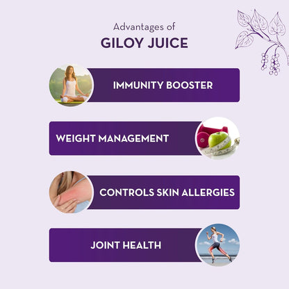 Baidyanath Asli Ayurved Giloy Juice Natural Immunity Booster - 1 Litre
