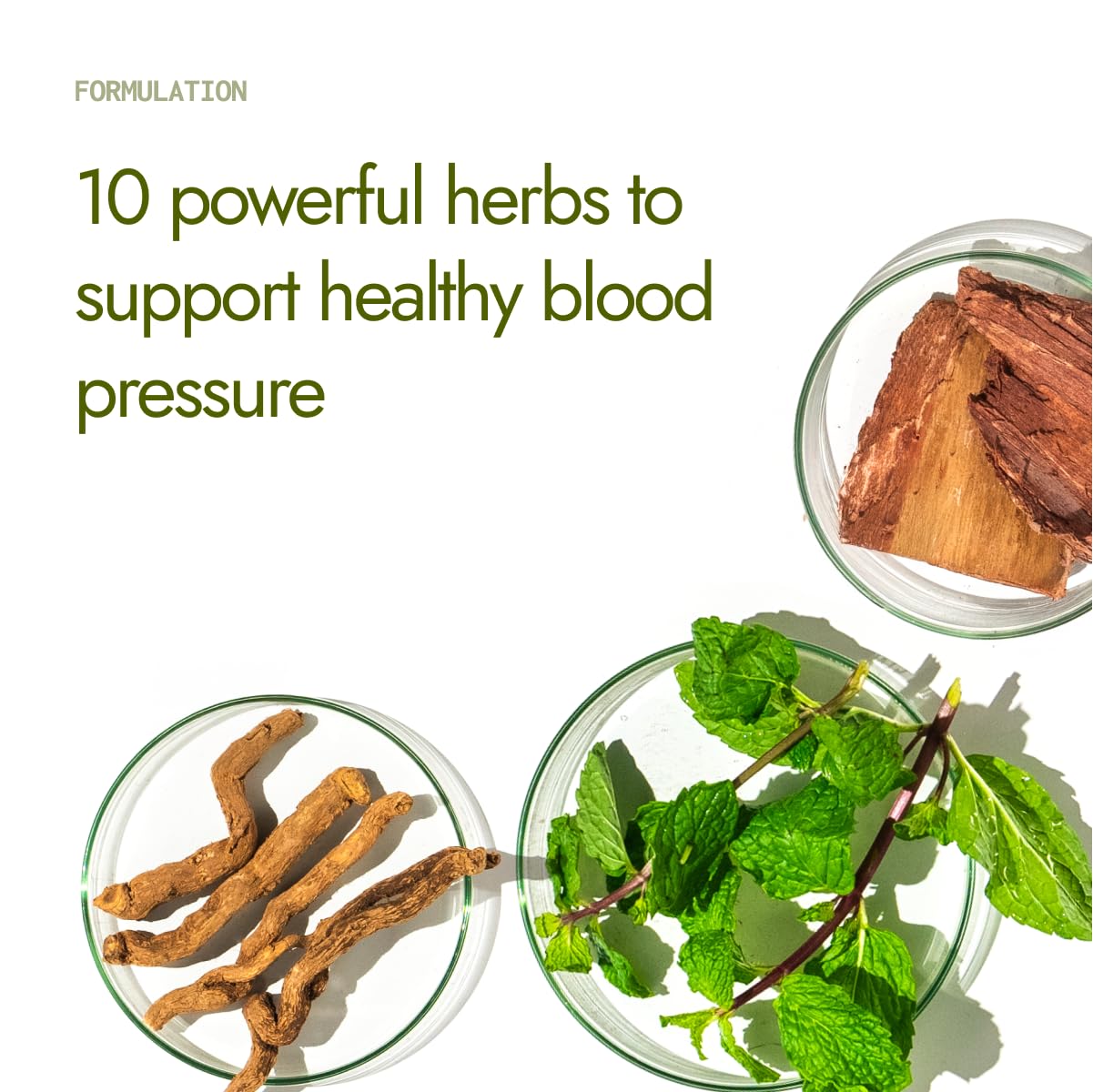 Kapiva BP Care Juice - 100% Ayurvedic Juice to Support Healthy Blood Pressure Levels| Arjuna, Jatamansi & 8 Other Herbs 1 Litre