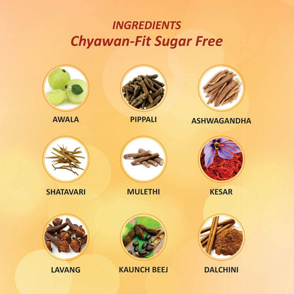 Baidyanath Asli Ayurved Chyawan-Fit Sugarfree Chyawanprash 1 Kg