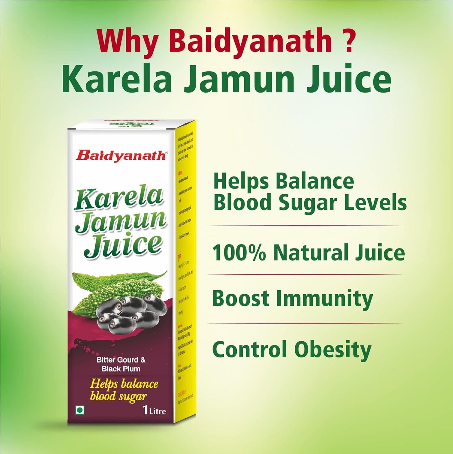 Baidyanath Ayurved Karela Jamun Juice 1L | Natural Remedy For Blood Sugar Management | Helps in Reducing the Bad Cholesterol Levels & Improves overall Health and Wellness