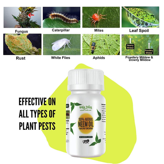 Leafy Tales Neem Oil Pure Cold Pressed, Water Soluble for Plants | All Purpose Indoor & Outdoor Plants, for Plant infestation ( concentrate can make up to 45 spray bottles)