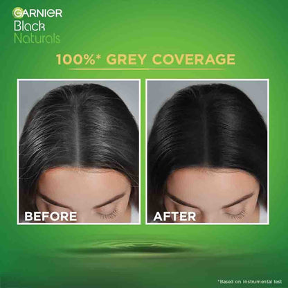Garnier Black Naturals Shade 2 Original Black