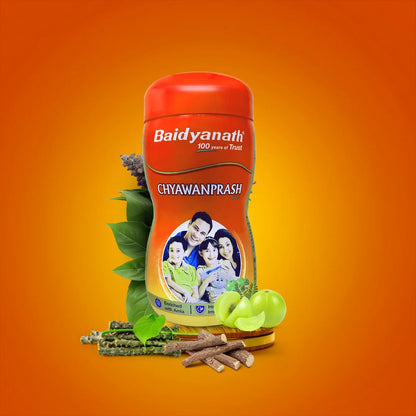 Baidyanath Chyawanprash Avleha 1 KG