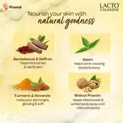 Lacto Calamine Ubtan Face Wash For Glowing Skin Natural Face Wash