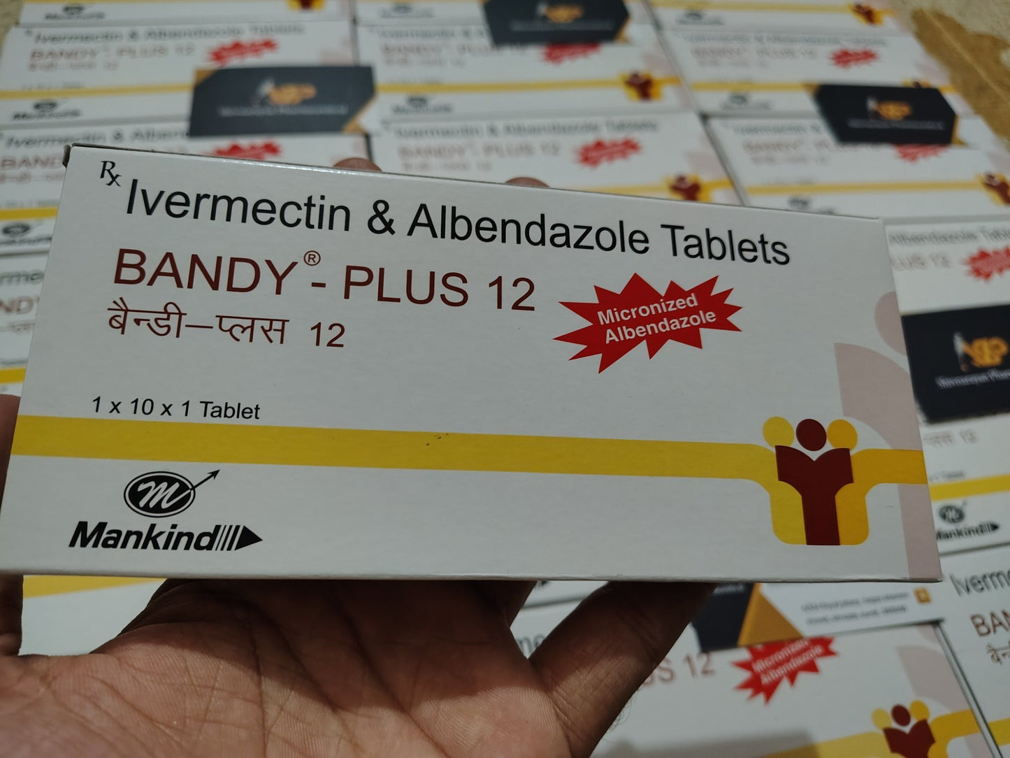 Bandy-Plus 12 Chewable Tablet
