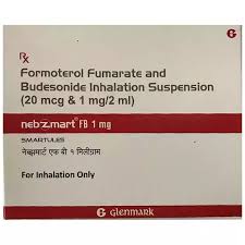 Nebzmart FB 1mg Smartules (2ml Each)